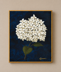 Jane's Hydrangea
