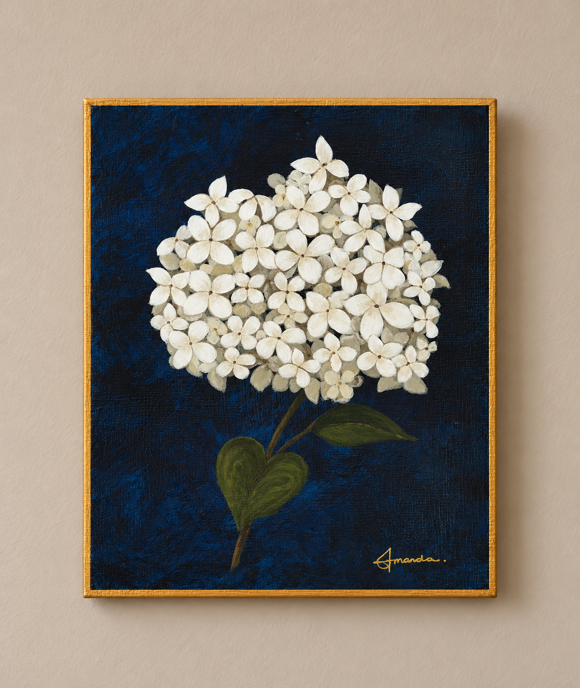 Jane's Hydrangea